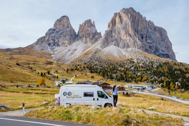 Une femme qui regarde le paysage à côté d'un van