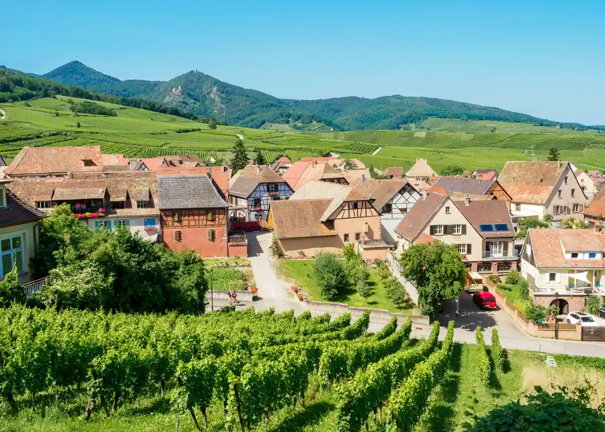 Photo des vignes et d'un village