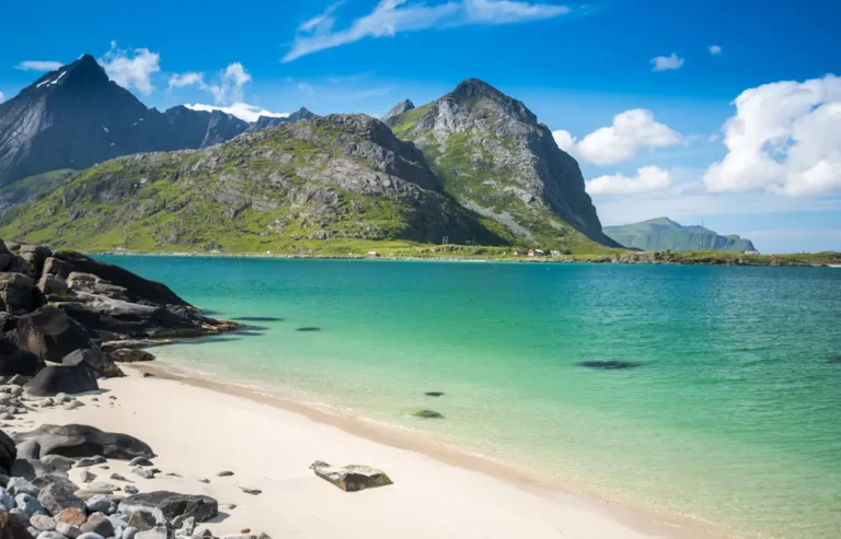 Une des îles lofoten en été