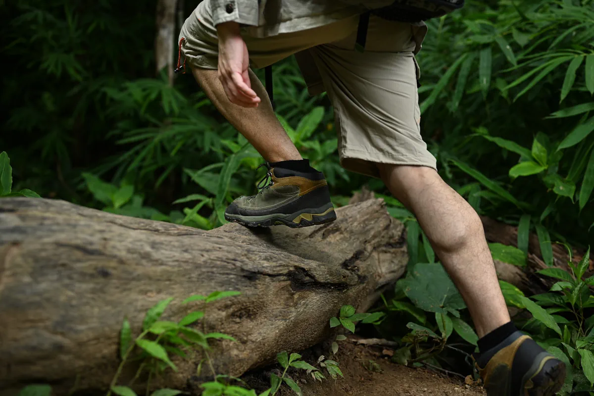 Un homme qui fait une randonnée dans une forêt
